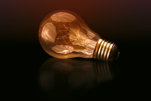 ¿Cada cuánto viene la luz? Factura mensual o Bimestral