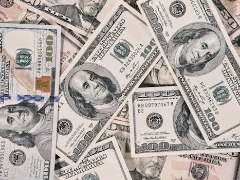 Domestica tu economía - Domestica tu economia