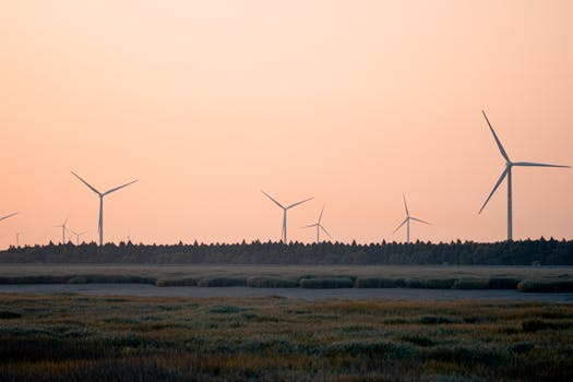 Consultoría energética en Madrid para optimizar tu consumo
