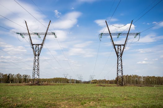 ¿Cada cuánto viene la luz? Factura mensual o Bimestral