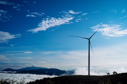 Iberdrola: Tarifas y ofertas de luz, gas y electricidad