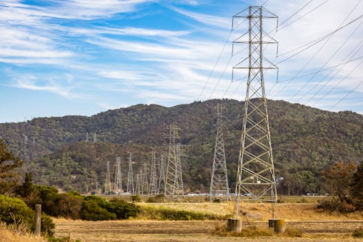 La subida de la luz. Conozca las claves