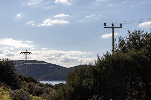 ¿Cada cuánto viene la luz? Factura mensual o Bimestral