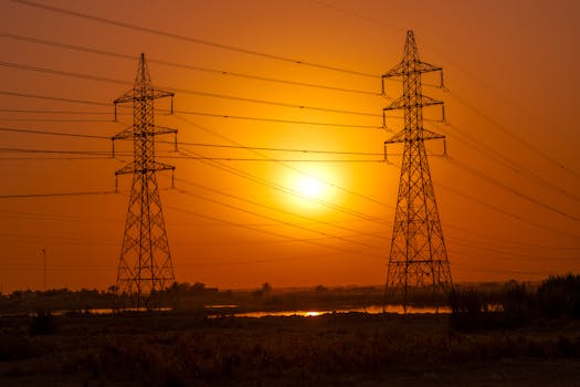 ¿Cada cuánto viene la luz? Factura mensual o Bimestral