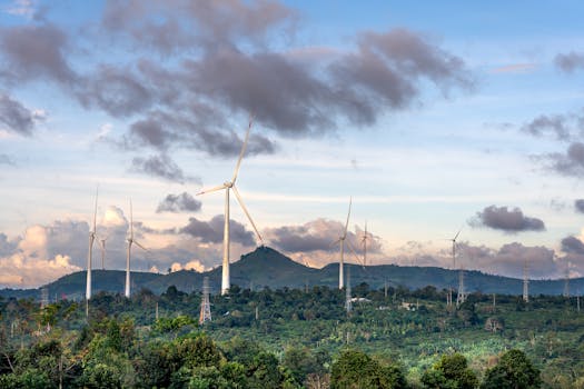 Naturgy luz y gas: ¿tarifas planas, nocturnas o estables?