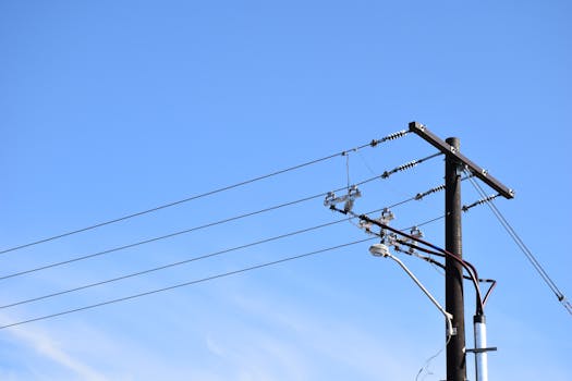 ¿Cada cuánto viene la luz? Factura mensual o Bimestral