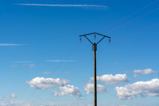 ¿Cada cuánto viene la luz? Factura mensual o Bimestral