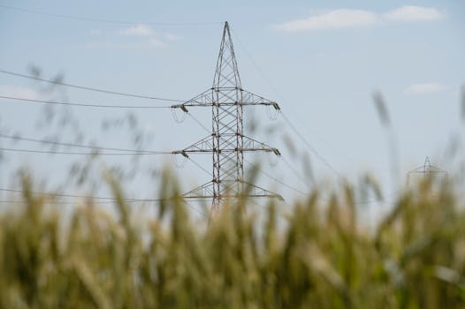 ¿Cada cuánto viene la luz? Factura mensual o Bimestral