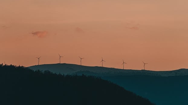 Naturgy luz y gas: ¿tarifas planas, nocturnas o estables?