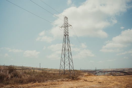 ¿Cada cuánto viene la luz? Factura mensual o Bimestral