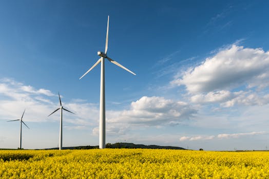 Iberdrola: Tarifas y ofertas de luz, gas y electricidad