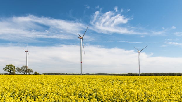 Cómo ahorrar energía este invierno sin pasar frío en casa
