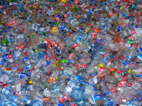 10 claves para lograr un consumo sostenible