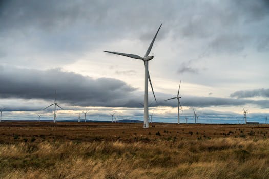 Naturgy luz y gas: ¿tarifas planas, nocturnas o estables?