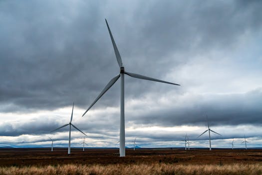 Iberdrola: Tarifas y ofertas de luz, gas y electricidad