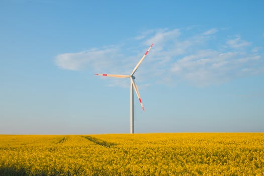 Programa EcoHOGARES | Comunidad de Madrid