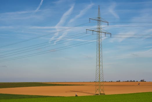La subida de la luz. Conozca las claves