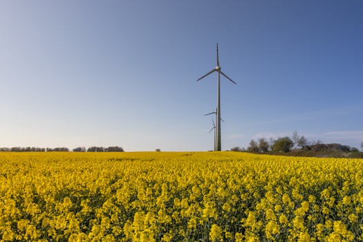 Consejos para ahorrar energía en tiempos de guerra