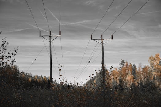 La subida de la luz. Conozca las claves