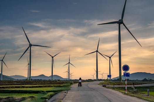 Iberdrola: Tarifas y ofertas de luz, gas y electricidad