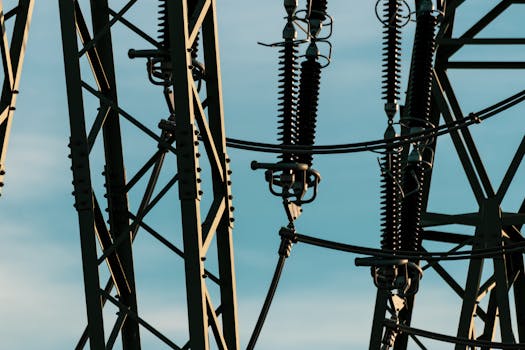 ¿Cada cuánto viene la luz? Factura mensual o Bimestral