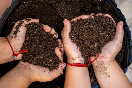 Programa EcoHOGARES | Comunidad de Madrid