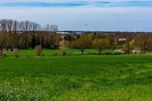 Consejos y Guías para la luz y gas de tu Hogar - Repsol