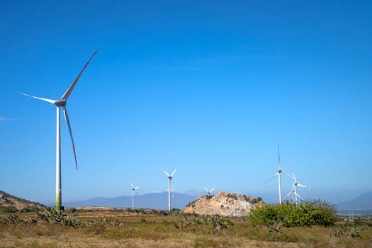 Naturgy luz y gas: ¿tarifas planas, nocturnas o estables?
