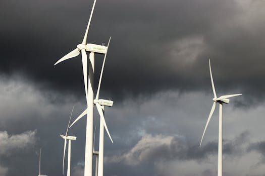 Naturgy luz y gas: ¿tarifas planas, nocturnas o estables?