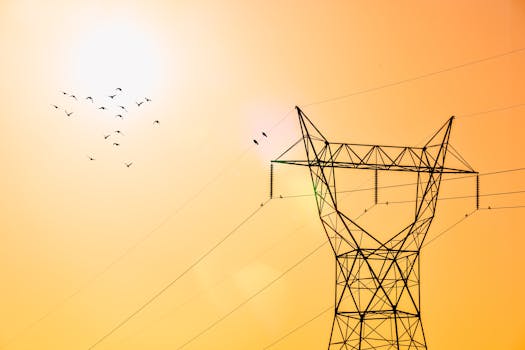 La subida de la luz. Conozca las claves